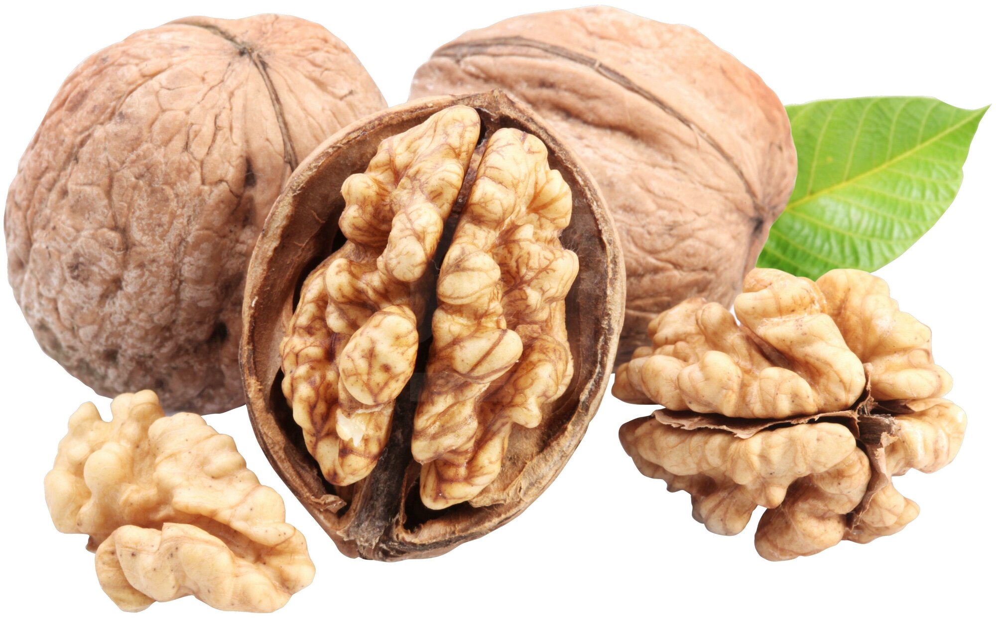 Грецкий орех